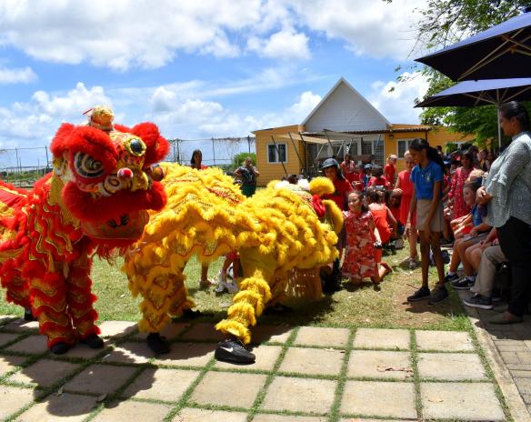 Chinese New Year Celebration 2024